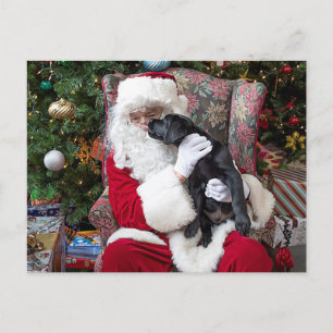 Santa Claus Puppy Black Labrador Kerstmis Feestdagenkaart