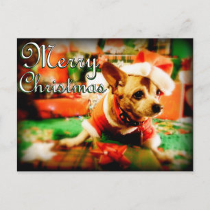 Santa Clause Chihuahua Vrolijk Kerstfeest Feestdagenkaart