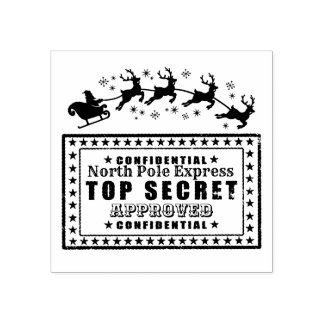 Santa Clause zeehondengoedkeuring van de Noordpool Rubberstempel