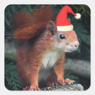 Santa Claws Sticker