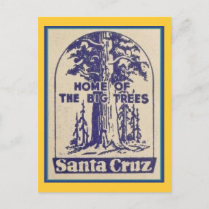 Santa Cruz Californië - Thuis van de Big Trees Briefkaart