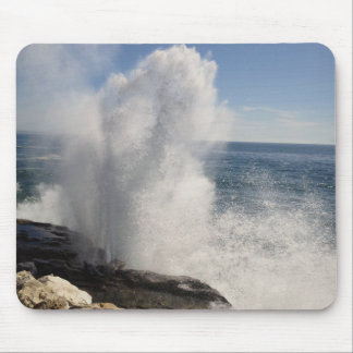 Santa Cruz Coast Muismat