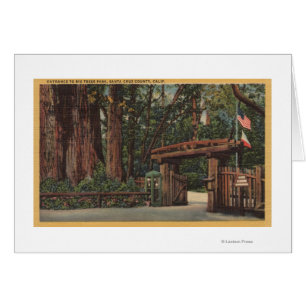 Santa Cruz County, CA Intrance to Big Trees Park