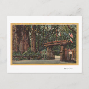 Santa Cruz County, CA Intrance to Big Trees Park Briefkaart