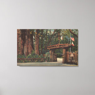 Santa Cruz County, CA Intrance to Big Trees Park Canvas Afdruk