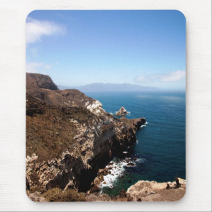 Santa Cruz Island serie 12 Muismat