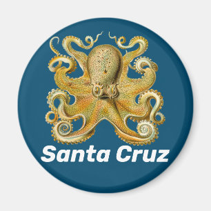 Santa Cruz-koelmagnet Magneet