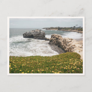Santa Cruz Natuurlijke Bruggen California Wilde Bl Briefkaart
