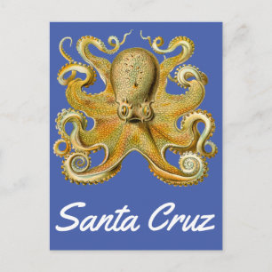 Santa Cruz  Octopus Briefkaart