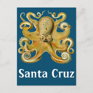 Santa Cruz Octopus Briefkaart