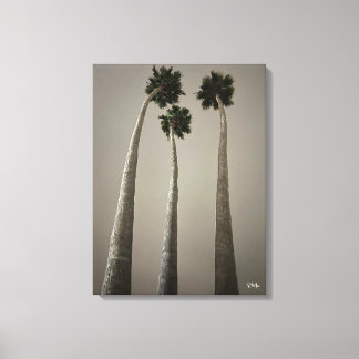 Santa Cruz Palmen 's Nachts Muurkunst Canvas Afdruk