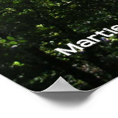 Santa Cruz Redwoods Poster (Hoek)