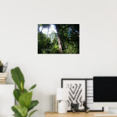 Santa Cruz Redwoods Print - Selecteer uw Lijst (Thuiskantoor)