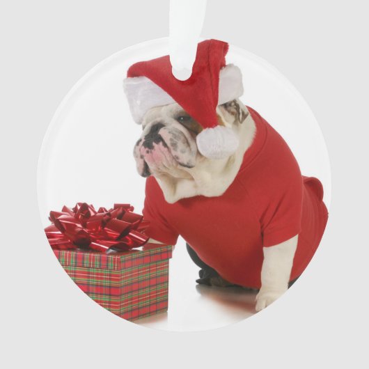 Santa Dog - Engelstalige bullehond gekleed als ker Ornament (voorkant)