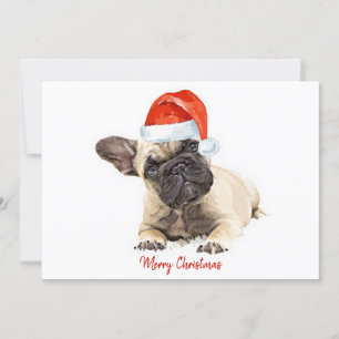 Santa Dog Franse Bulldog Kerst Schattigee Puppy Do Kaart