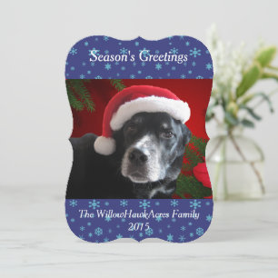 Santa Dog-Lab/Rott Mix met Pointsettia Achtergrond Feestdagenkaart