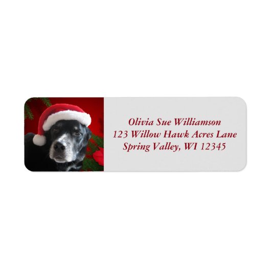 Santa Dog-Lab/Rott Mix met Pointsettia Etiket (Voorkant)