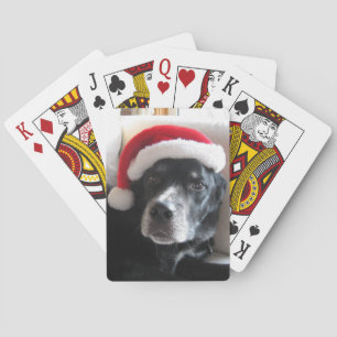 Santa Dog-Labrador Rottweiler Mix Speelkaarten