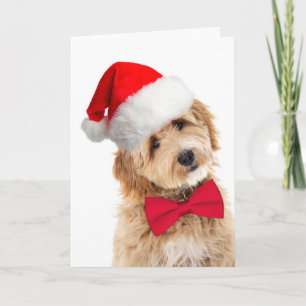 Santa Doodle Dog Kaart