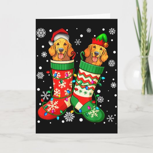 Santa Elf Golden Retriever Dog In Christmas Socks Kaart (Voorkant)