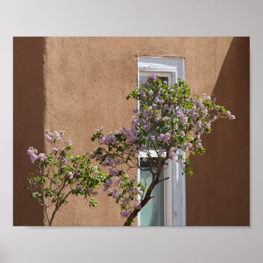 Santa Fe, New Mexico, Lilacs Poster (Voorkant)
