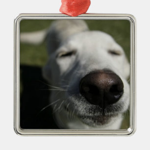 Santa Fe, New Mexico Metalen Ornament