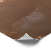 Santa Fe Serenity: Cholla Cactus bij Sunset Poster (Hoek)