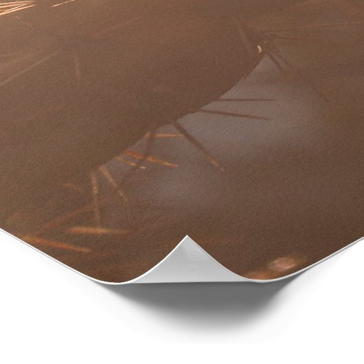 Santa Fe Serenity: Cholla Cactus bij Sunset Poster (Hoek)