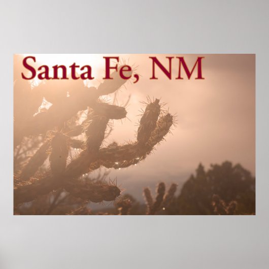 Santa Fe Serenity: Cholla Cactus bij Sunset Poster (Voorkant)