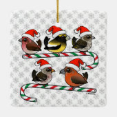 Santa Finches Keramisch Ornament (Achterkant)