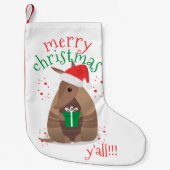 Santa Gift Giving Armadillo Texas Kleine Kerstsok (Voorkant)