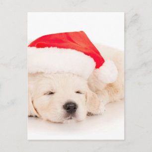 Santa Golden Retriever Puppy Feestdagenkaart