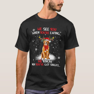 Santa Golden Retriever rendier licht kerst Pa T-shirt