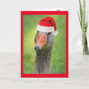Santa Goose Funny Holiday kerstKaart Feestdagen Kaart
