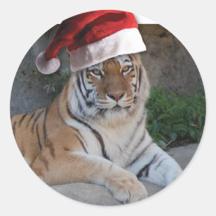 Santa Hat Bengal Tiger Ronde Sticker