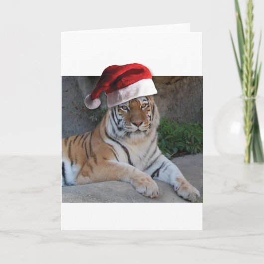 Santa Hat Bengalen Feestdagen Kaart (Voorkant)