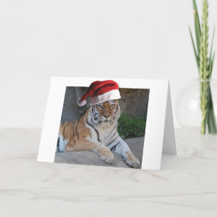 Santa Hat Bengalen Feestdagen Kaart