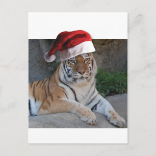 Santa Hat Bengalen Feestdagenkaart