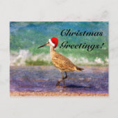 Santa Hat Bird op Tropical Beach Kerstmis Kaart (Voorkant)