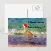 Santa Hat Bird sur la carte de Noël Tropical Beach (Devant / Derrière)