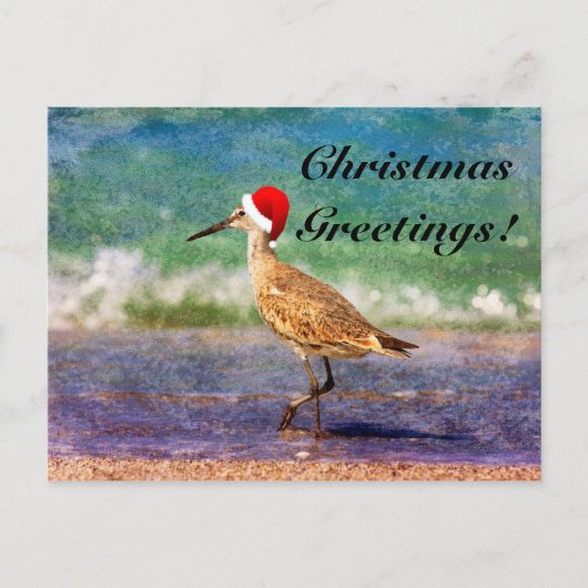 Santa Hat Bird sur la carte de Noël Tropical Beach (Devant)