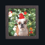 Santa Hat Bulldog Christmas Tree Snowman boîte cad<br><div class="desc">Mignonne photo Bulldog avec boîte cadeau de Noël Tree Snowman en arrière - plan. Un cadeau parfait pour Noël !</div>