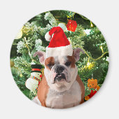 Santa Hat Bulldog Kerstboom Sneeuwman Gift Box Magneet (Voorkant)