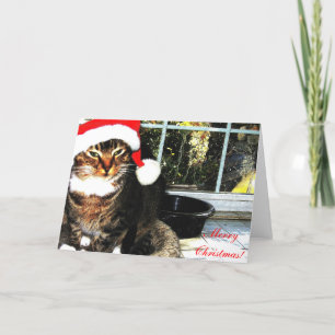 Santa hat cat II Feestdagen Kaart