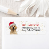 Santa Hat Yellow Labrador Retriever Etiket (Insitu)