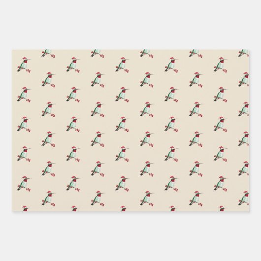 Santa Hummingbird Inpakpapier Vel (Voorkant)