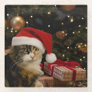 Santa Kat bij de Kerstboom Glazen Onderzetter