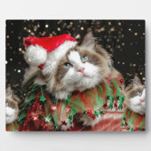 Santa Kat Fotoplaat (Voorkant)