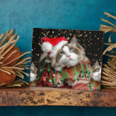 Santa Kat Fotoplaat (Zijkant)