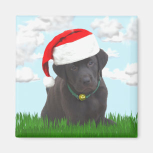 Santa Lab Magnet Magneet